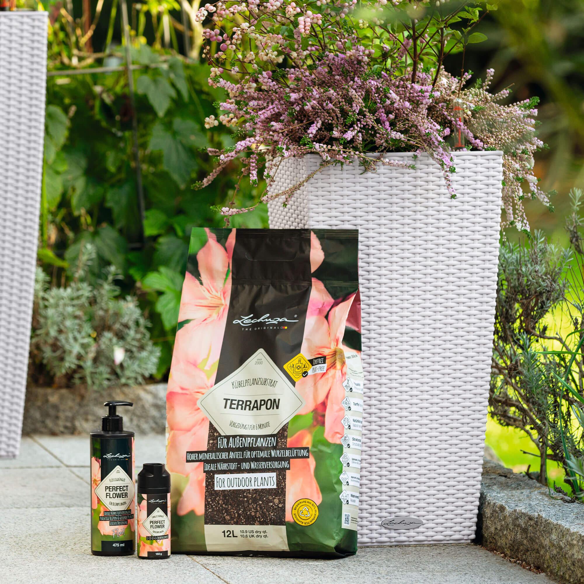 le_perfect-flower_product_addi_01